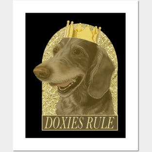 Doxies Rule Posters and Art